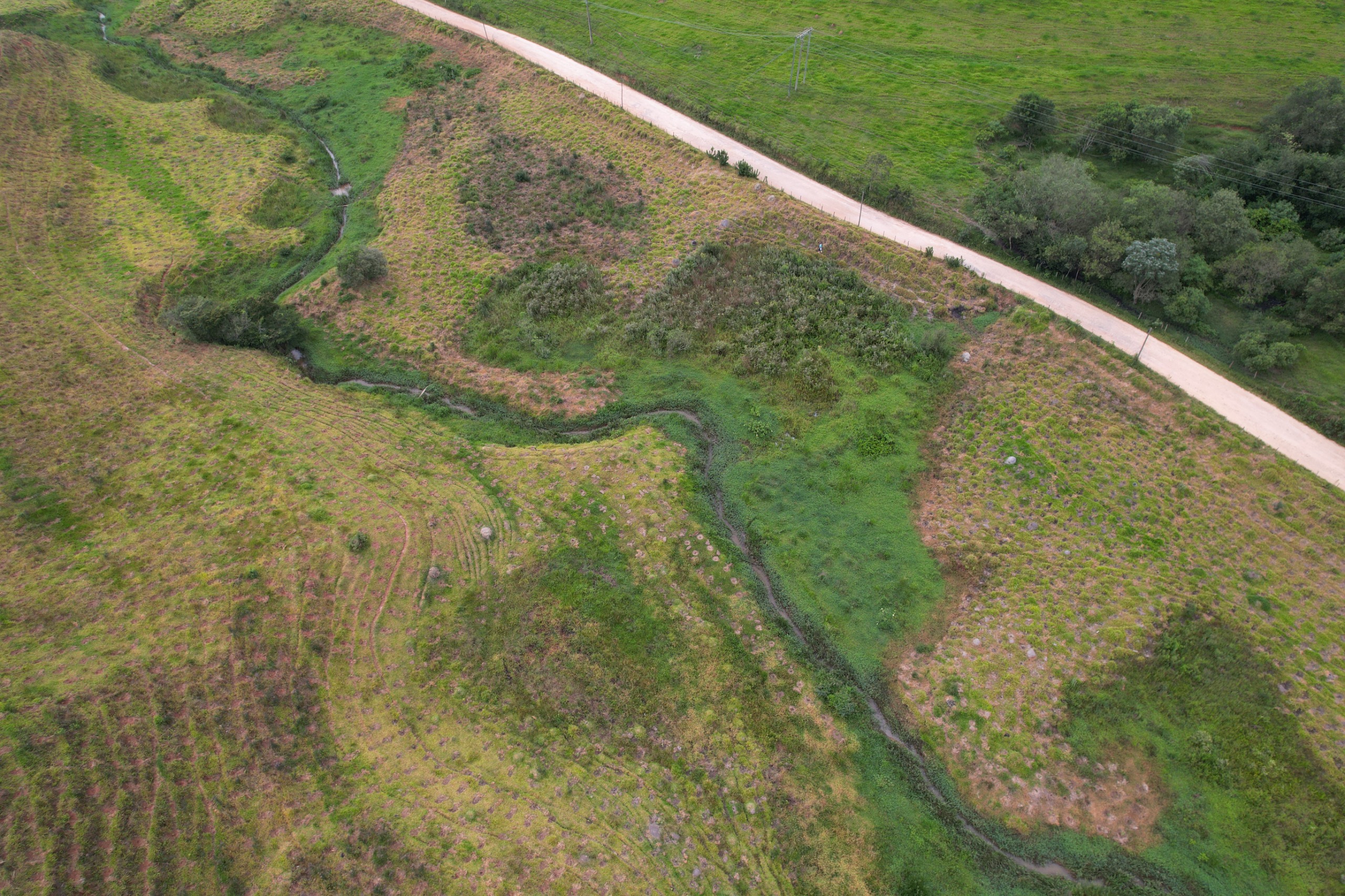 Restauração na Mantiqueira