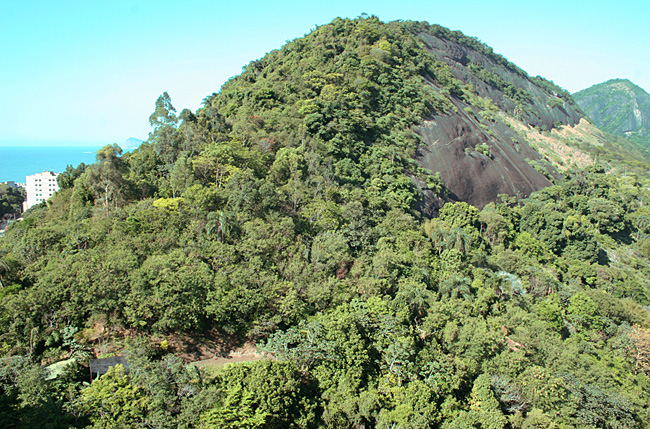 Morro São João depois do reflorestamento