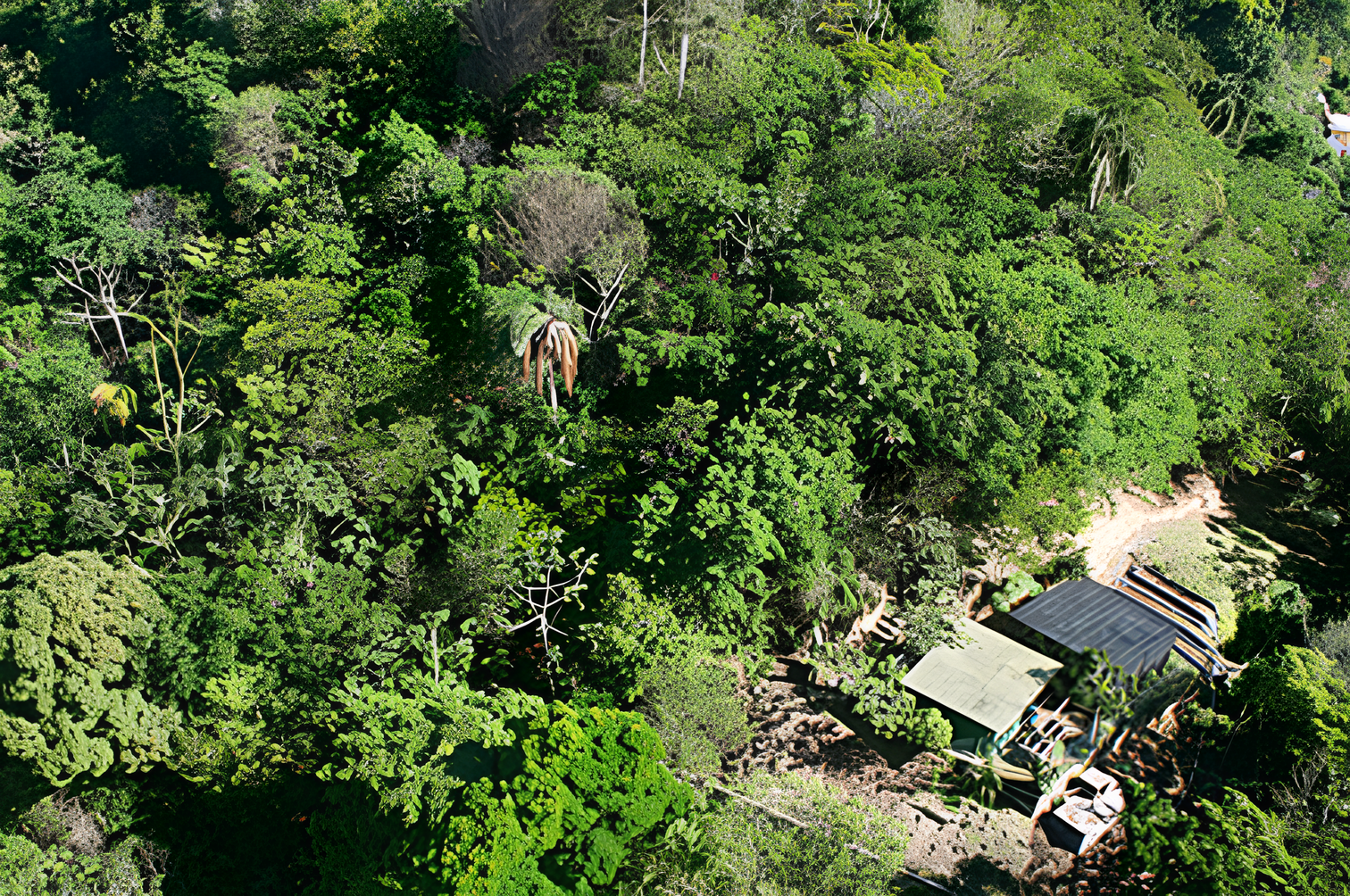 Mesma área alguns anos depois